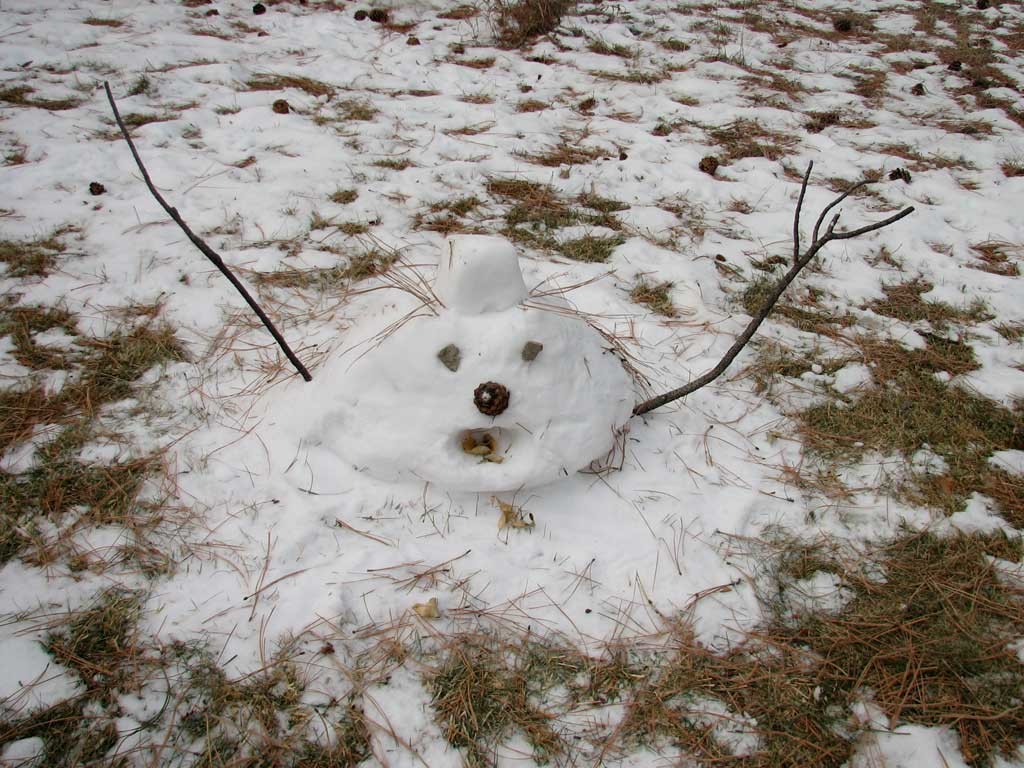 melting_snowman_12-16-05